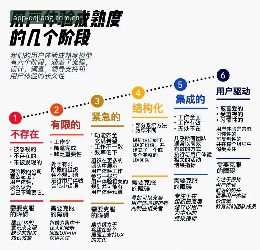 大江体育官方App功能深度解析与用户体验全面剖析